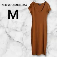 Item thumbnail for item 037487cf-cb49-4744-9c72-21798e6b72c4