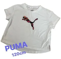 PUMA プーマ　キッズ　女の子　 Tシャツ 半袖　120cm ホワイト　白