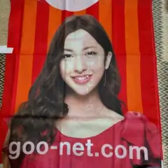 板野友美goo-net.com のぼり