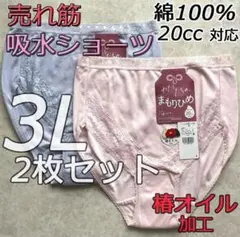 大きいサイズ 給水ショーツ 失禁 尿漏れパンツ 綿100% 女性用 3L 2枚組