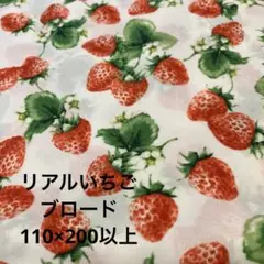 リアルいちご　ブロード　110×200以上