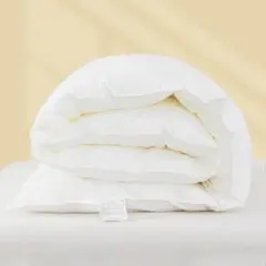 羽毛布団 掛け布団 ダブル 春夏 ダックダウン90%相当 洗える 通気性 保温