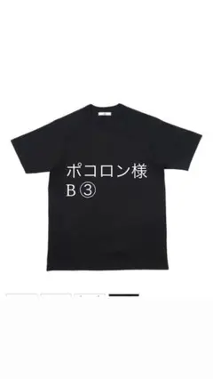 ぽころん様　B ③