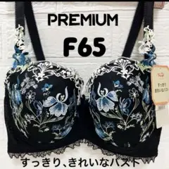 F65 トリンプ プレミアム レッドレーベル 0078 ブラジャー