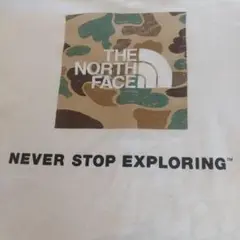 THE NORTH FACE Tシャツ