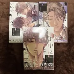 手中に落としていいですか 2-4