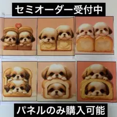 レアパネル　シーズー柄Ｂセット