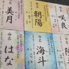 手書きA4（ラミネート加工）命名書作成 10