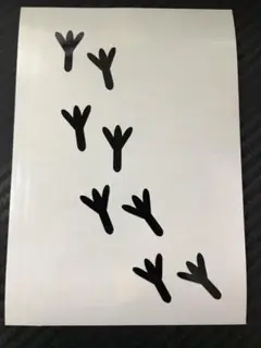 鳥の足跡 ステッカー デカール カーステッカー