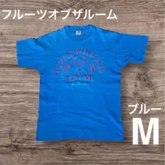 フルーツオブザルーム　Tシャツ　ブルー　90s　M　青　スクリーンスターズ