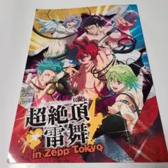 【最終値下げ】幕末Rock ライブパンフレット 2014