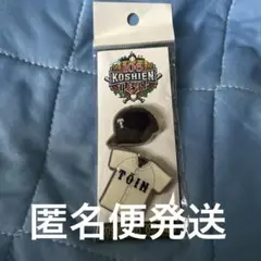 第106回全国高校野球選手権大会　大阪桐蔭　帽子&ユニフォームピンバッジ