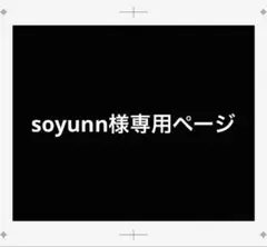 専用ページ
