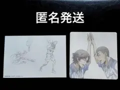 テニプリ　BEST GAMES!! 菊丸　大石　ポストカード　色紙
