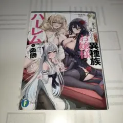 ラノベ　本気を出したお兄ちゃんなら異種族お嬢様のハーレムを作ることぐらい楽勝です
