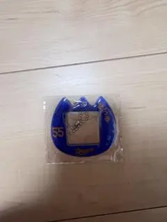 ドラゴンズおなまえキーホルダー 細川成也