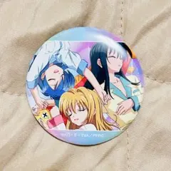 新品ぴちぴちピッチ　集合　缶バッジ