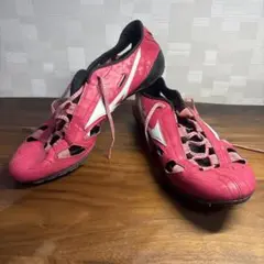 Item thumbnail for item 58c31310-59b8-484e-82da-088f25193c8a