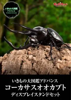 いきもの大図鑑オンライン版3点セット