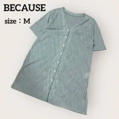 Item thumbnail for item 45ddf8e9-c942-404d-b555-5ecb732fd35c