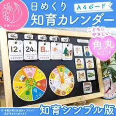 【シンプル】前向き日めくりカレンダー（A4）知育版 視覚支援 保育教材 2025