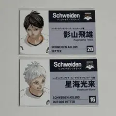 ハイキュー ファンパーク グッズ 名刺コレクション 影山 光来