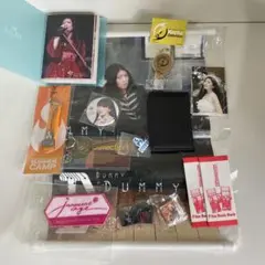 茅原実里 m.s.s ミニフォトブックとグッズセット