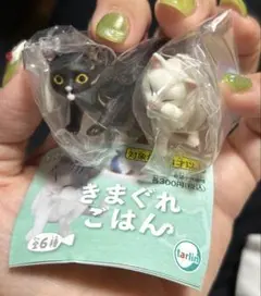 きまぐれごはん 猫 ガチャガチャ チャレンジしてみる ごちそうさま