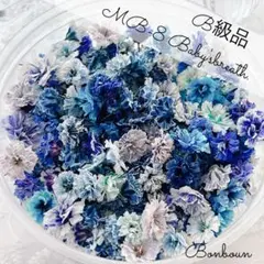MB-8かすみ草ドライフラワーB級品