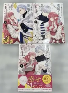 もう興味がないと離婚された令嬢の意外と楽しい新生活2巻3巻4巻 3冊セット