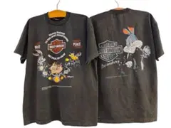 Harley Davidson Looney Tunes