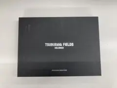 【未開封・限定品】ウルトラマンピンズのパネル（円谷フィールズ限定優待H4K803