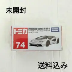 Item thumbnail for item d5080402-91f8-45e2-9bdd-94587dad2671