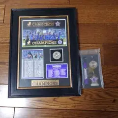 2012年Jリーグディビジョン1優勝記念品