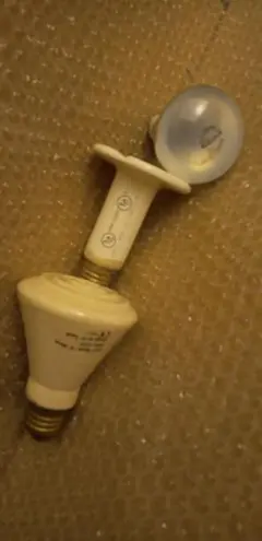 Item thumbnail for item 378e8c26-ba1e-406e-8bff-b51f2da91791