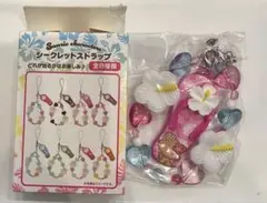 サンリオ　トコナツバケーションデザインシリーズ　シークレットストラップ
