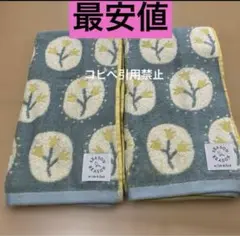 Item thumbnail for item 4ce5bb8d-ba7c-45b3-a604-cec02987a1df