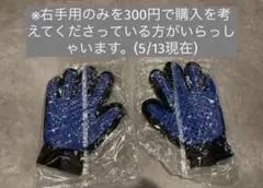 Item thumbnail for item d3368f91-25af-43a6-a587-7c8d9bd3120c
