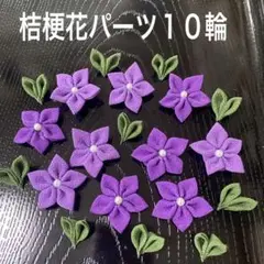 Item thumbnail for item 546d8105-5c48-4111-83d9-7ae5f1307d64