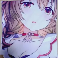 正規品 未開封 抱き枕カバー 戌神ころね うえっち かぼすライム ホロライブ 61M3-eWRxjL._UF350,350_QL50_.jpg