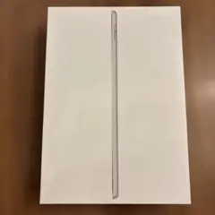 Apple iPad 256GB Wi-Fi 本体