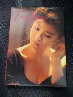 Item thumbnail for item d9261df1-71fa-4f2b-ac00-2dcc1370ffcf