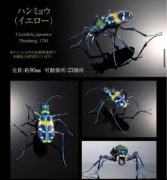 オンライン版いきもの大図鑑アドバンス　ハンミョウ イエロー　ディスプレイスタンド