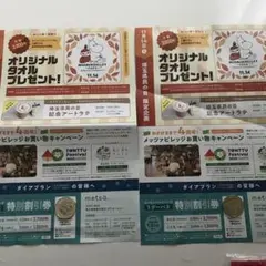 ムーミンバレーパーク 優待券