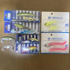 シーバスルアーセット【ガボッツ、シャルダス、ナレージ、VJ】