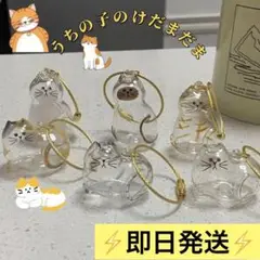 本日発送　うちの子のけだまだま　コンプリート　ガチャ 全6種セット c347