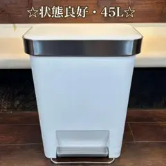 ☆状態良好☆ simplehuman ペダル式ダストボックス 45L ホワイト