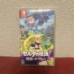Switch ゼルダの伝説 知恵のかりもの