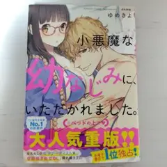 小悪魔な幼なじみに、いただかれました。