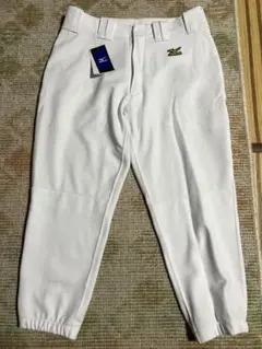 ミズノ 野球ユニフォームパンツ ヒザ2重 12JD6F6001 XO